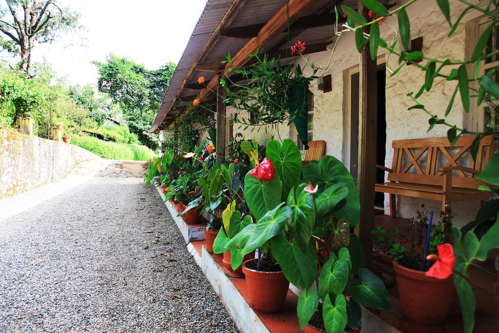 Thekkady Kalarickal Heritage Bungalow Vandanmedu Zewnętrze zdjęcie