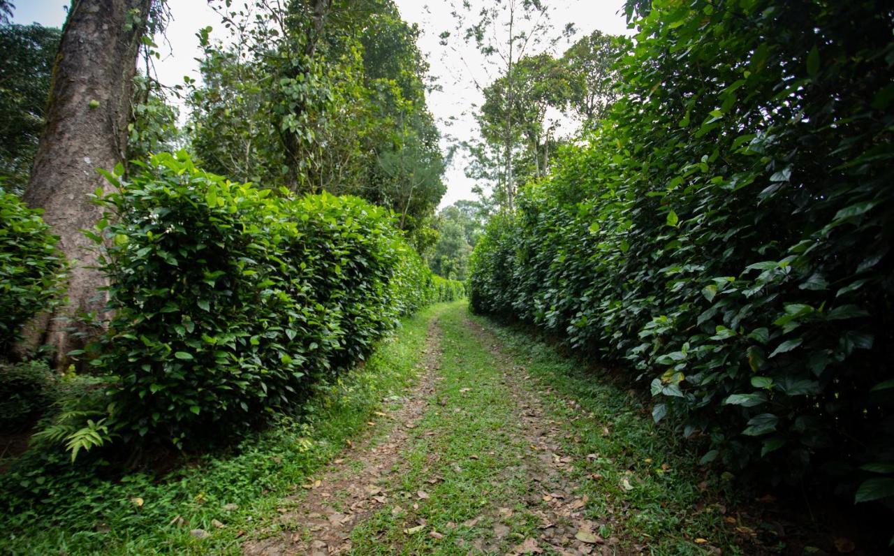 Thekkady Kalarickal Heritage Bungalow Vandanmedu Zewnętrze zdjęcie